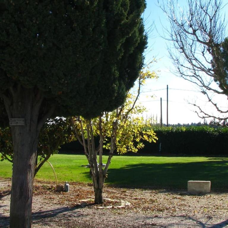 Country house in Arles Provence peaceful and lovely - Apartamento de 1 dormitorio - 17
