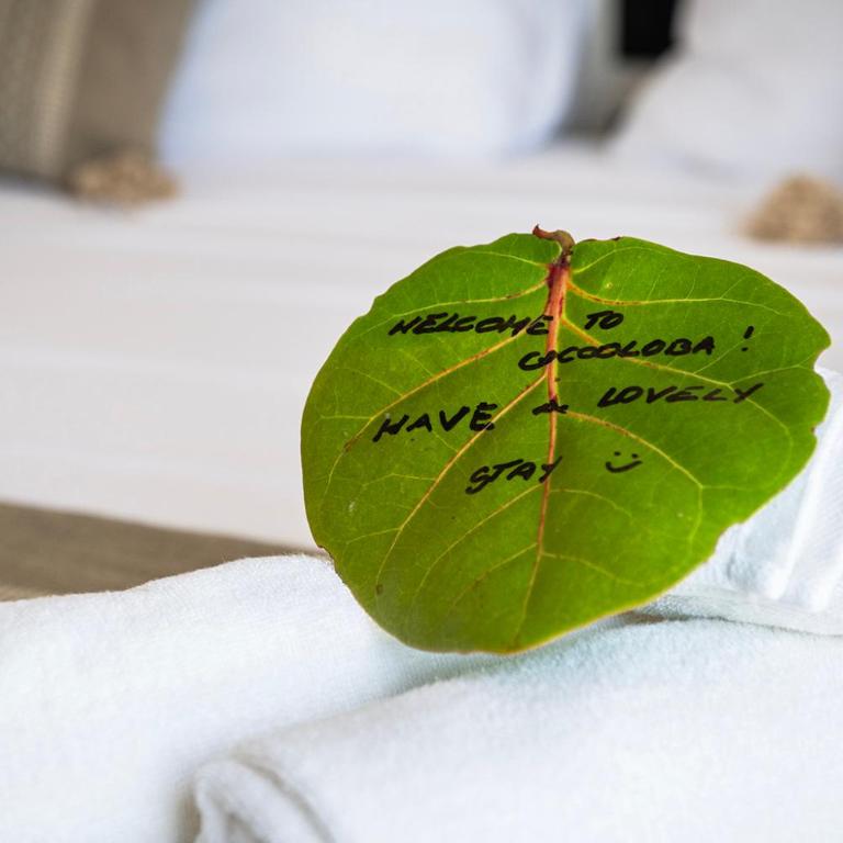 COCCOLOBA - Suite con cama extragrande - 15