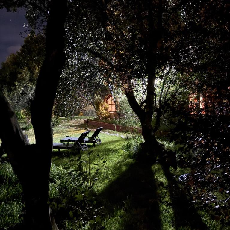 Alma Andina a orillas del río Quilquihue, frente al lago Lolog - Four-Bedroom House - 31