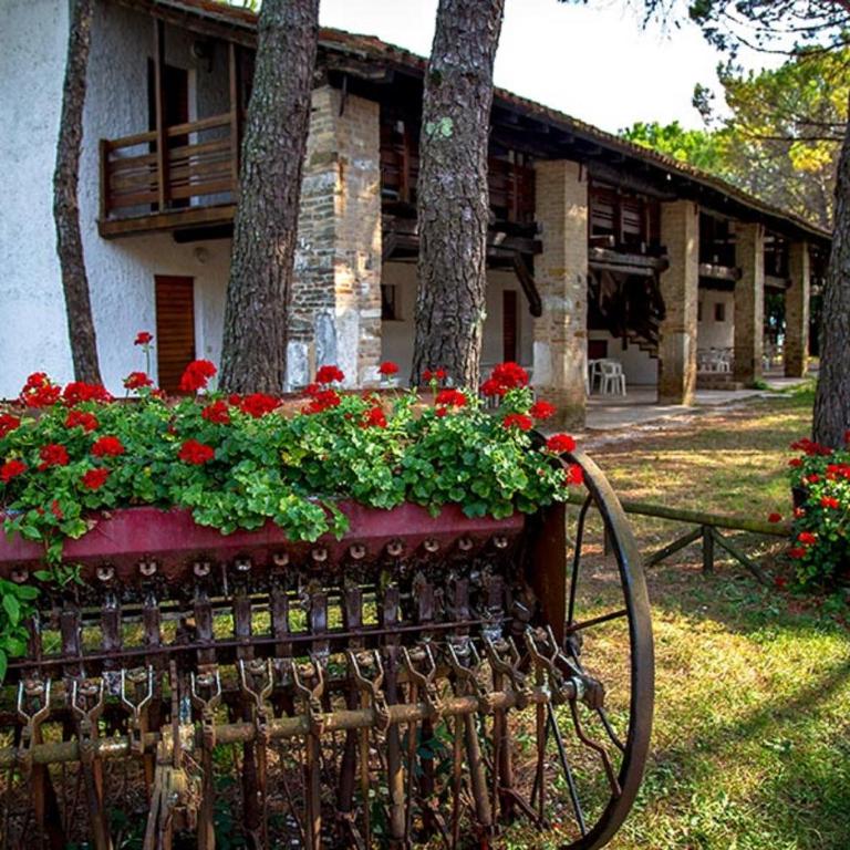 Belvedere Pineta Camping Village Grado - Appartamento con 1 Camera da Letto (5 Adulti) - 1