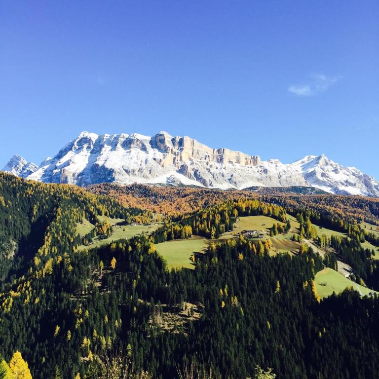 Ciasa Rudiferia Appartamenti in Alta Badia - Apartment mit 1 Schlafzimmer - 40