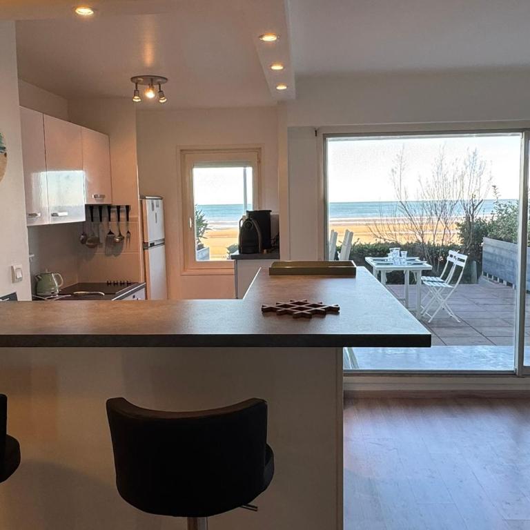 Appartement 3 pièces avec accès direct plage et WiFi - FR-1-487-377 - Apartment - 10