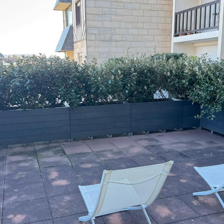 Appartement 3 pièces avec accès direct plage et WiFi - FR-1-487-377 - Apartment - 19
