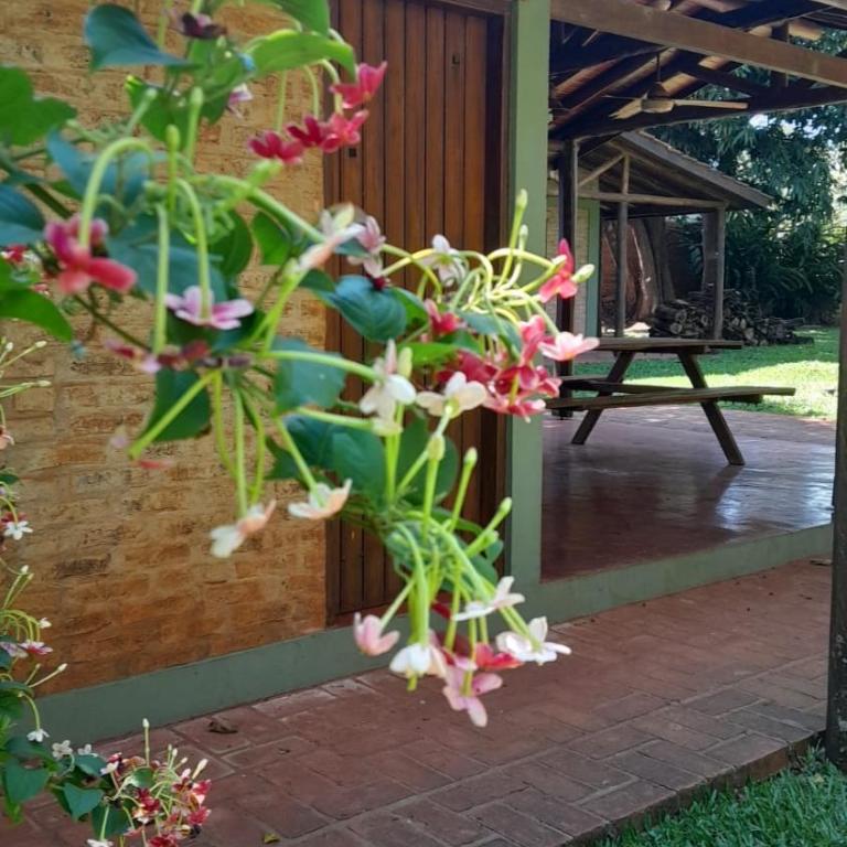 Cabañas lodge El Suizo - One-Bedroom House - 47