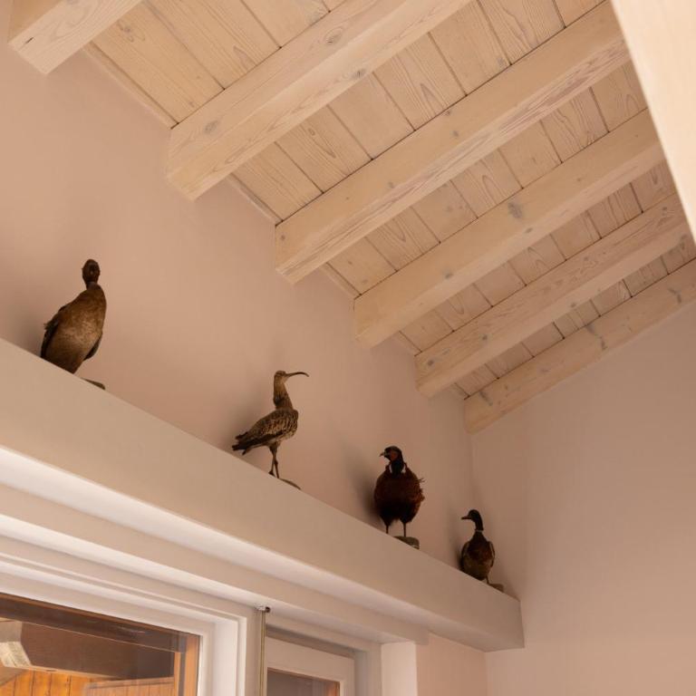 Casa Funivia, immersa nel verde e vicina al centro di Cortina - Appartamento con Balcone - 13
