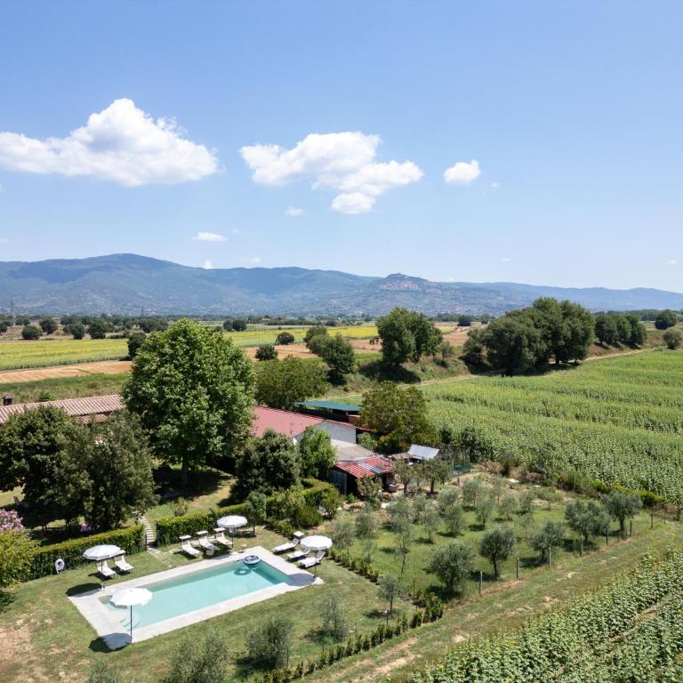 Podere Merlino - Villa - 68