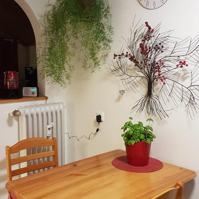 Alpenkranz - Appartement 1 Chambre avec Balcon et Vue sur les Montagnes - 6
