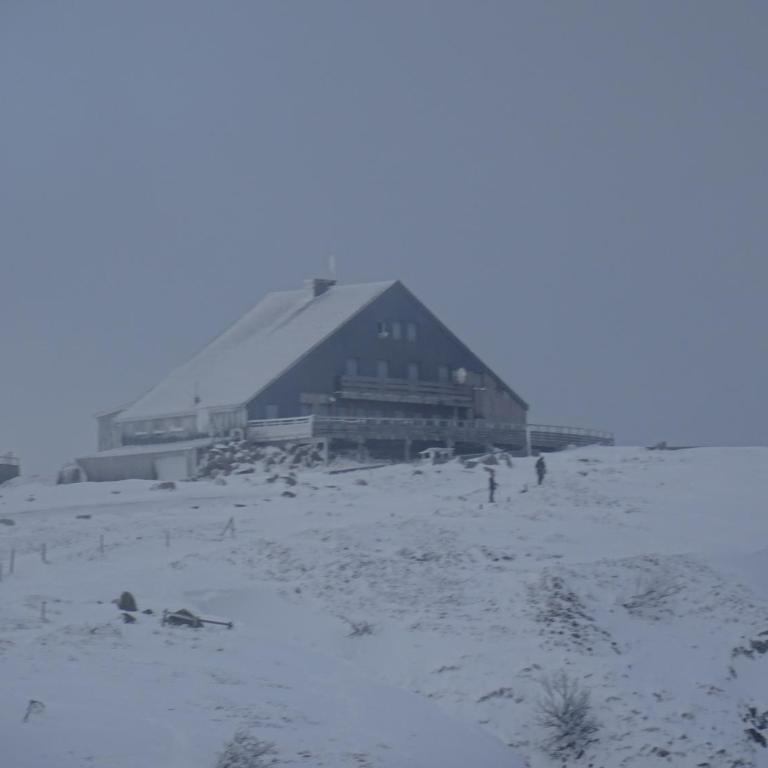 La SALAMANDRE - Appartement - 19