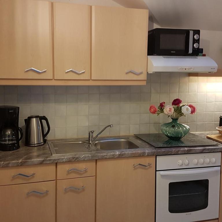 Alpenkranz - Appartement 1 Chambre avec Balcon et Vue sur les Montagnes - 21