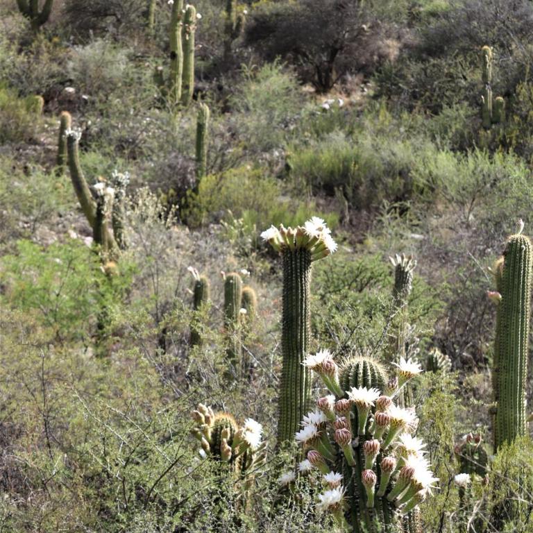 Las Valentinas Hospedaje de Montaña - Vacation Home - 24