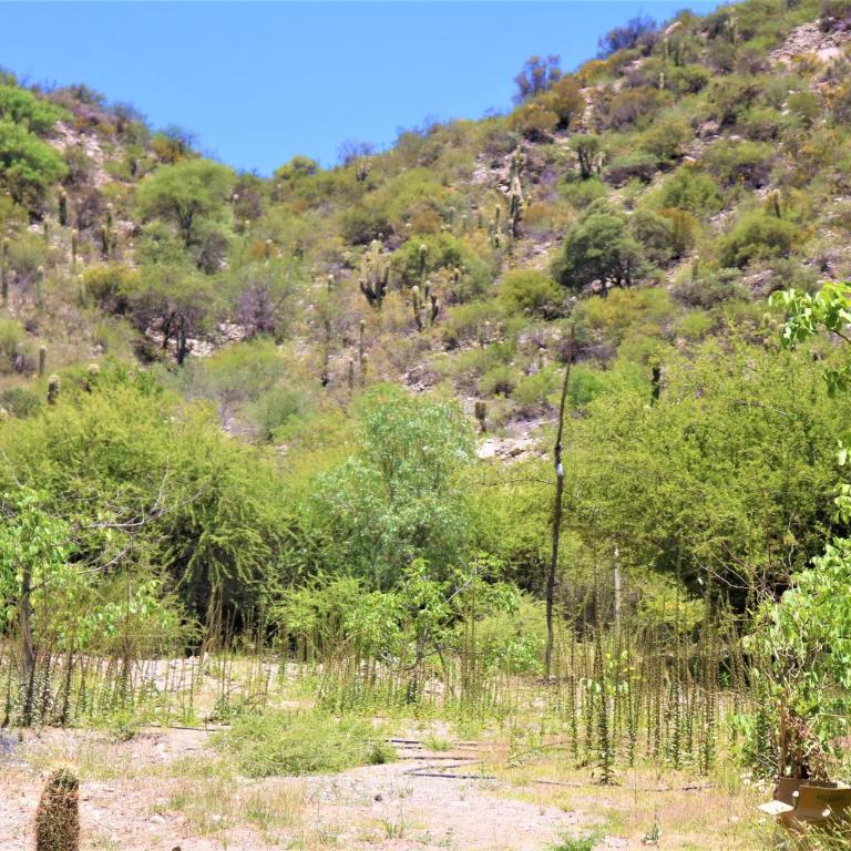 Las Valentinas Hospedaje de Montaña - Casa - 44
