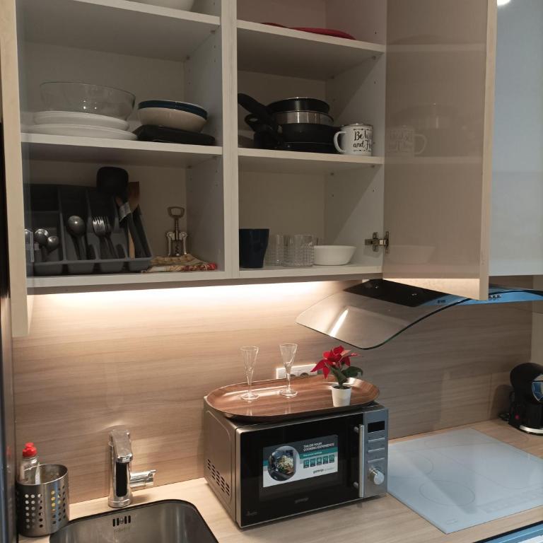 Belgrade Waterfont- Beograd na vodi Proverite dostupnost,nacin ulaska - Apartman sa 1 Spavaćom Sobom - 10