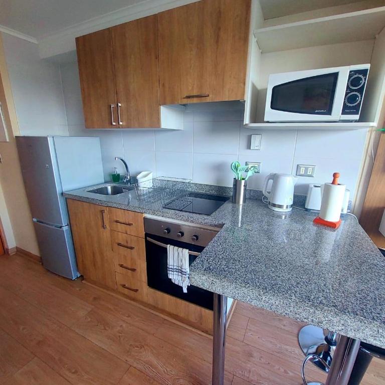 Departamento en Chillán Centro - Apartamento de 1 dormitorio - 9