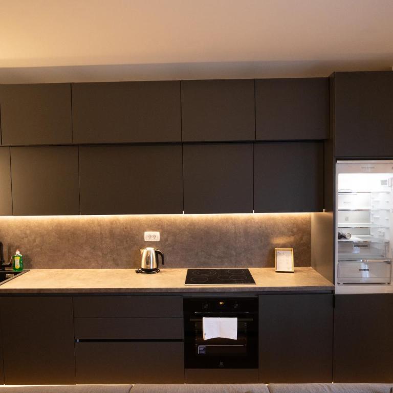 ToRo Hospitality - One-Bedroom Deluxe Apartment - 8