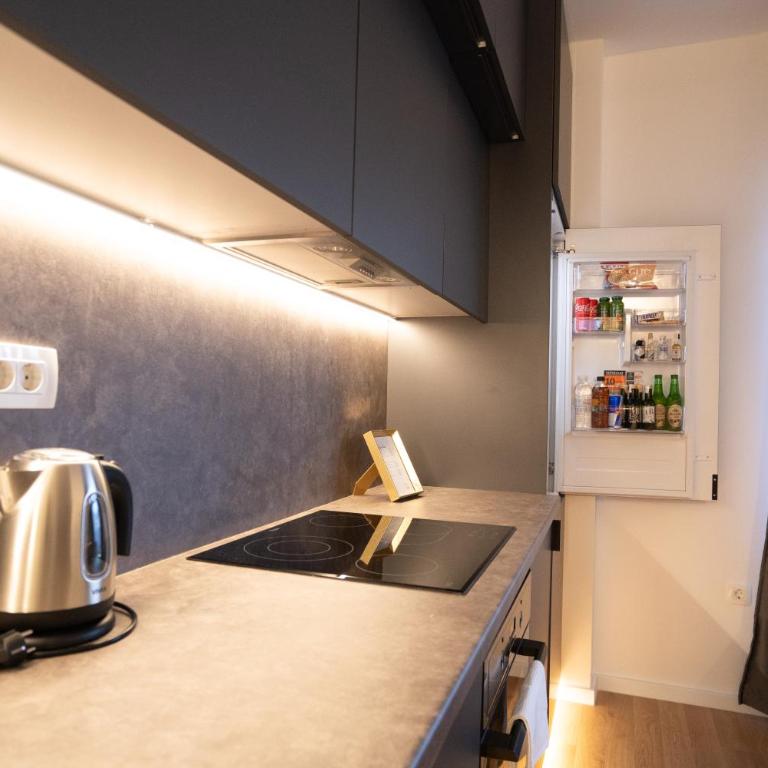 ToRo Hospitality - One-Bedroom Deluxe Apartment - 9