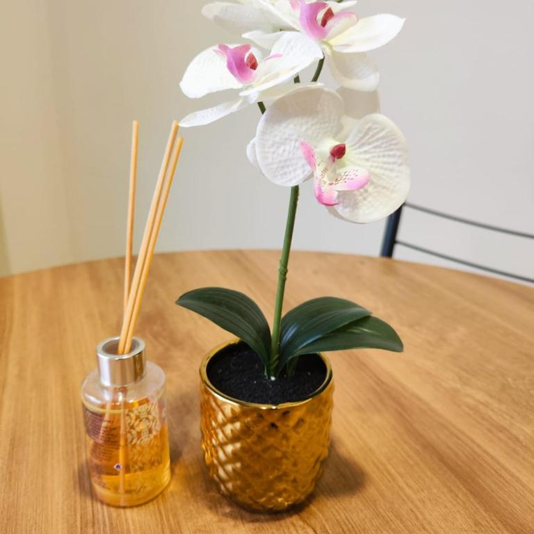 Departamentos Smart Design - Apartamento de 1 dormitorio - 25