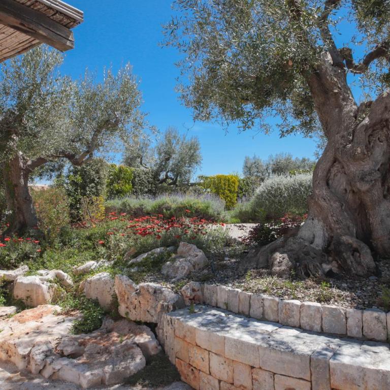 TD Trulli di Montaltino with Stunning Huge Pool - Casa Vacanze - 14