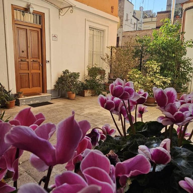 Casa Capponi - A San Pietro - Apartment mit 1 Schlafzimmer - 11