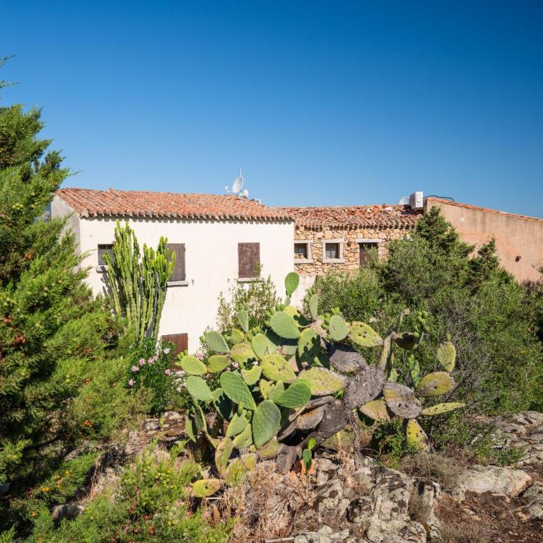 Caletta Nest 108 - Appartamento con Vista Mare - 33