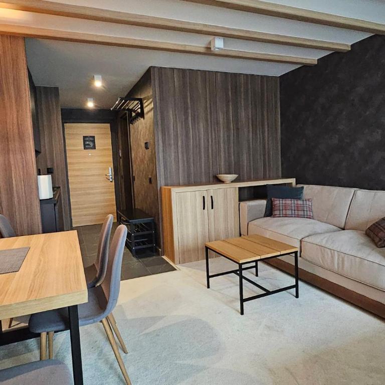 Woodside Apartments Kopaonik centar - Studio - 3