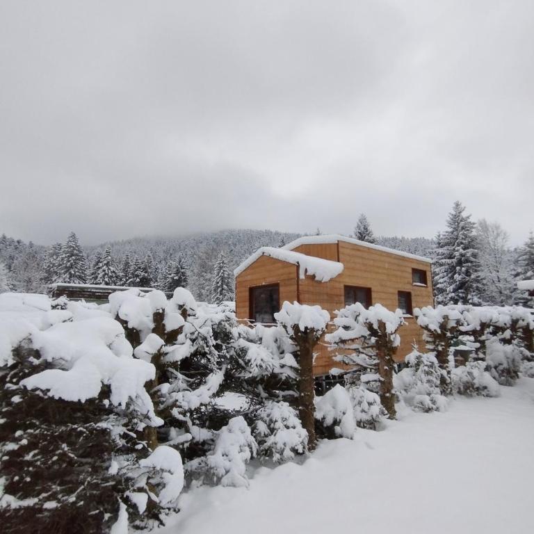 Tiny House - Cottages - Mobilhomes - Camping Les Granges Bas - Bungalow 1 Chambre - 4