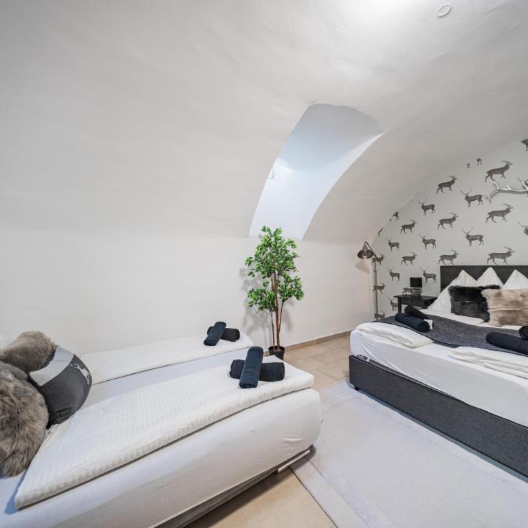 Innsbruck Underground Atelier - Apartamento - 3