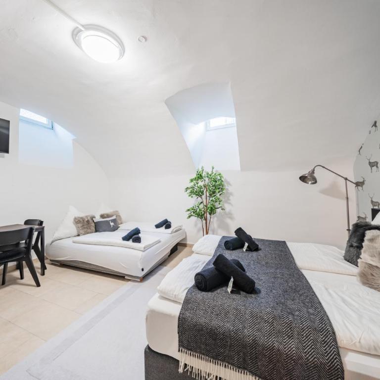 Innsbruck Underground Atelier - Apartamento - 4