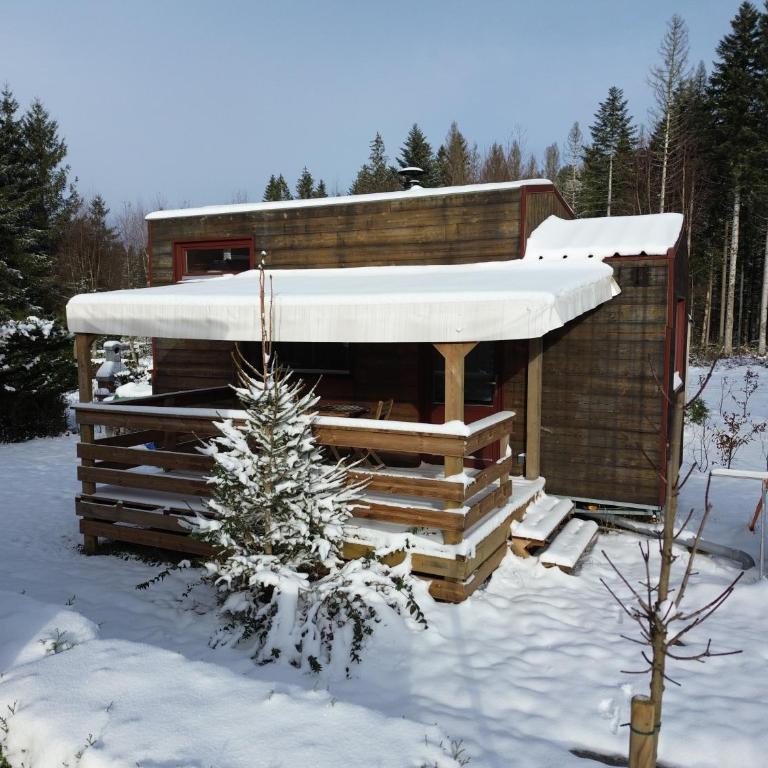 Tiny House - Cottages - Mobilhomes - Camping Les Granges Bas - Bungalow 1 Chambre - 7