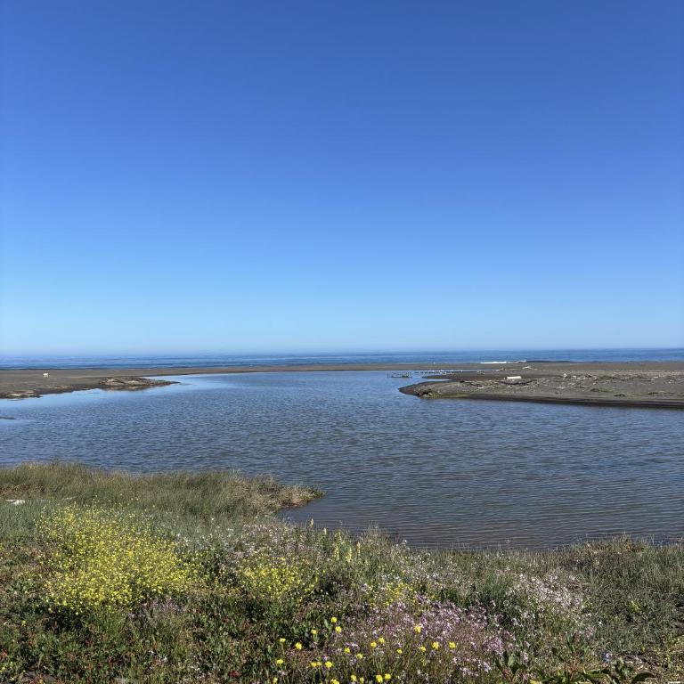 Lodge Punta Sirena - Apartamento - 6