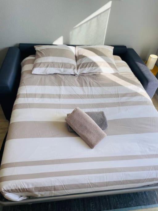 Studio proche tram- Parking privé - 2 voyageurs - Studio with Sofa Bed - 18