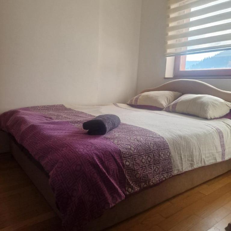 Aleksandrija Pale - One-Bedroom Apartment - 14