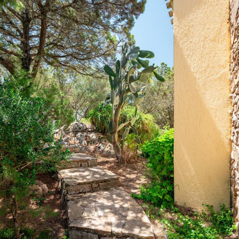 Caletta Nest 88 - Appartamento con Vista e Balcone - 5