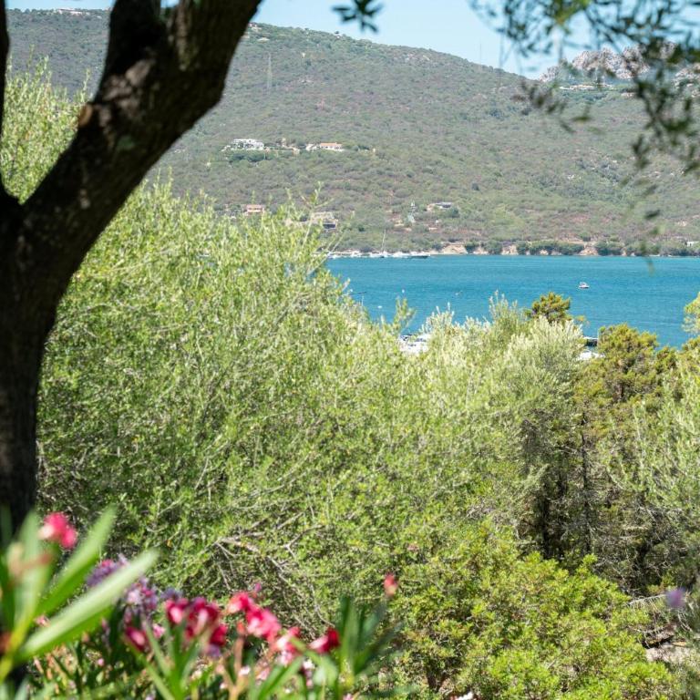 Caletta Nest 88 - Appartamento con Vista e Balcone - 9