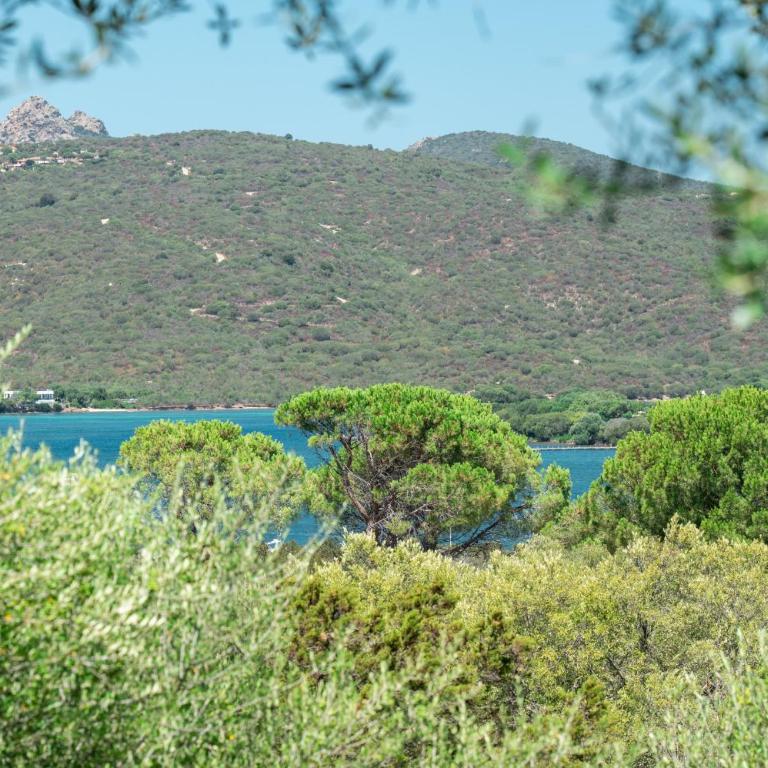 Caletta Nest 88 - Appartamento con Vista e Balcone - 31