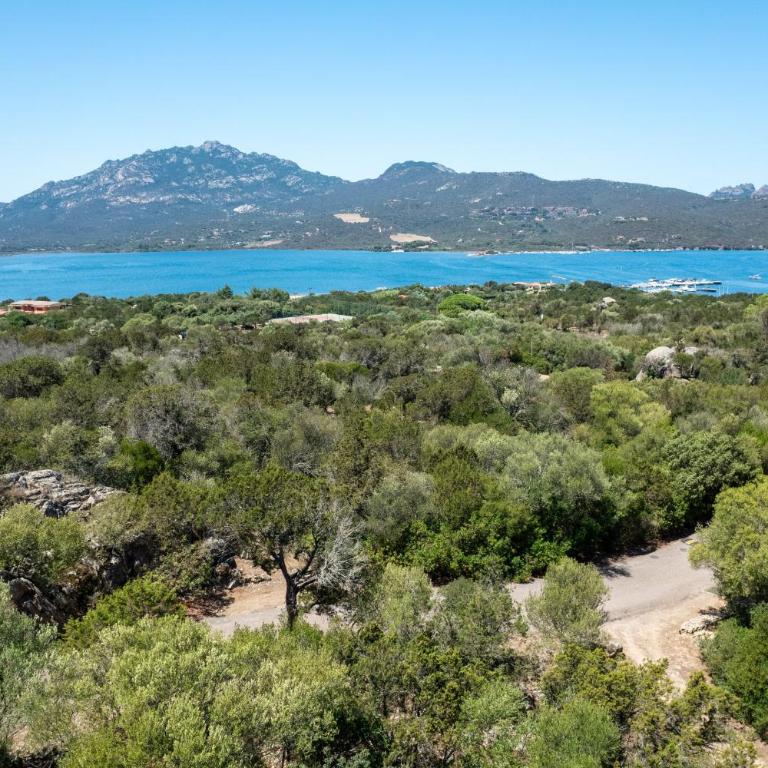 Caletta Nest 88 - Appartamento con Vista e Balcone - 33