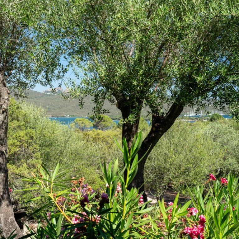 Caletta Nest 88 - Appartamento con Vista e Balcone - 37