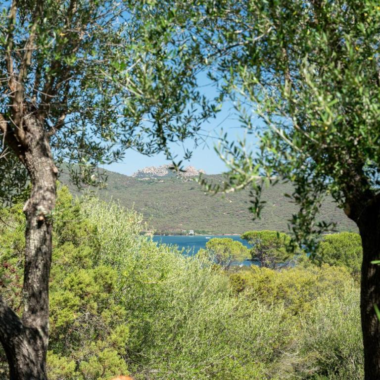 Caletta Nest 88 - Appartamento con Vista e Balcone - 38