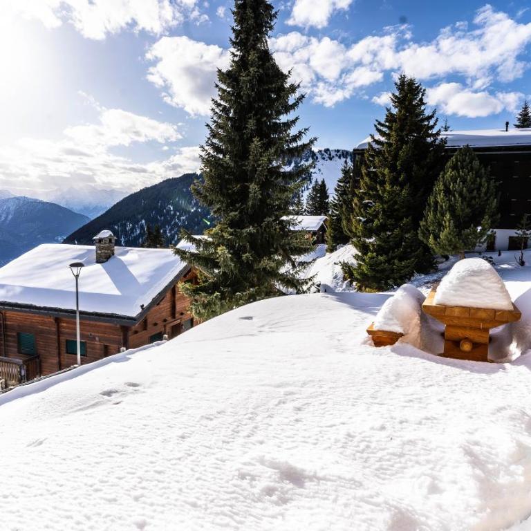 Ferienhaus Golmenheim, Riederalp - Apartment mit 3 Schlafzimmern - 8