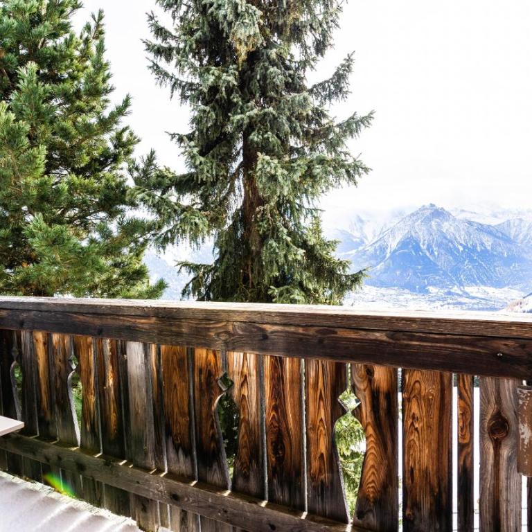 Ferienhaus Golmenheim, Riederalp - Apartment mit 1 Schlafzimmer - 11