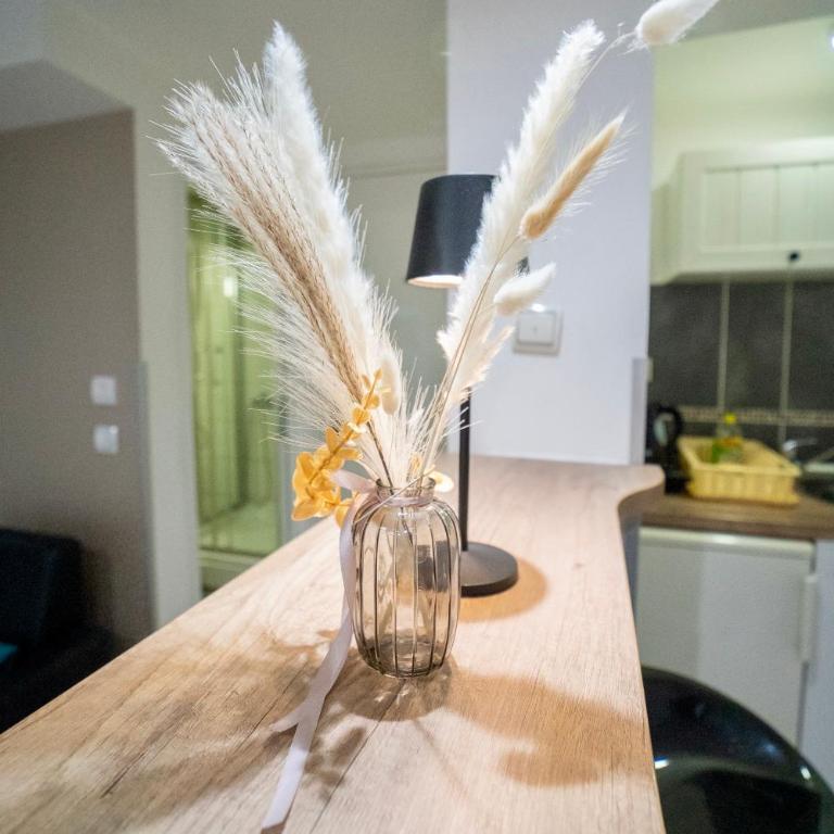 Apartmani Aleksandra u centru grada - Comfort Studio - 2