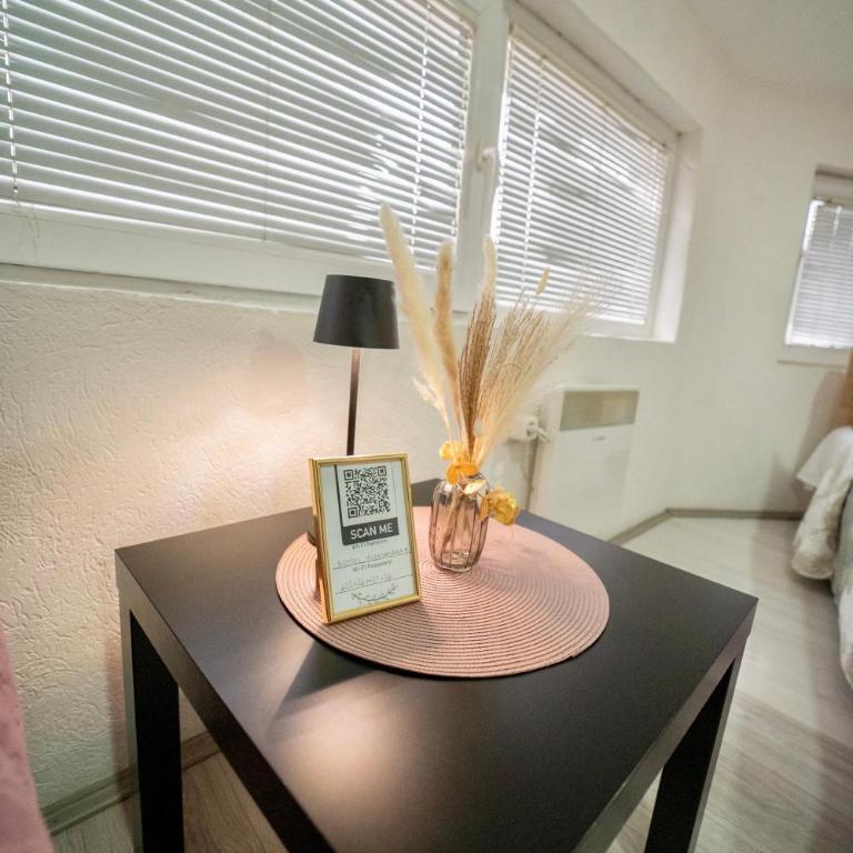 Apartmani Aleksandra u centru grada - Classic Double Room - 2