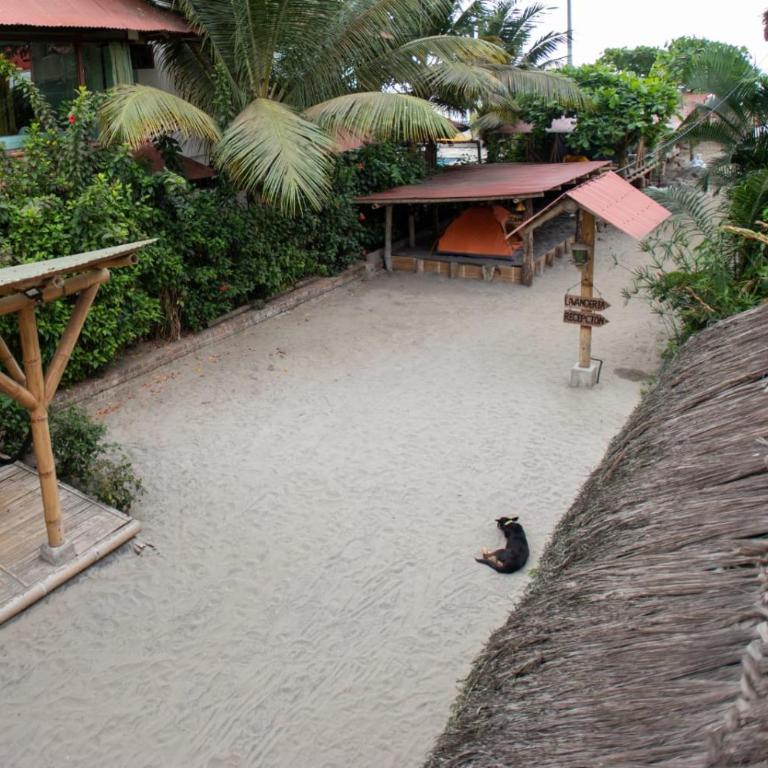 La Casa Mompiche Camping & Dorm - Tent - 9