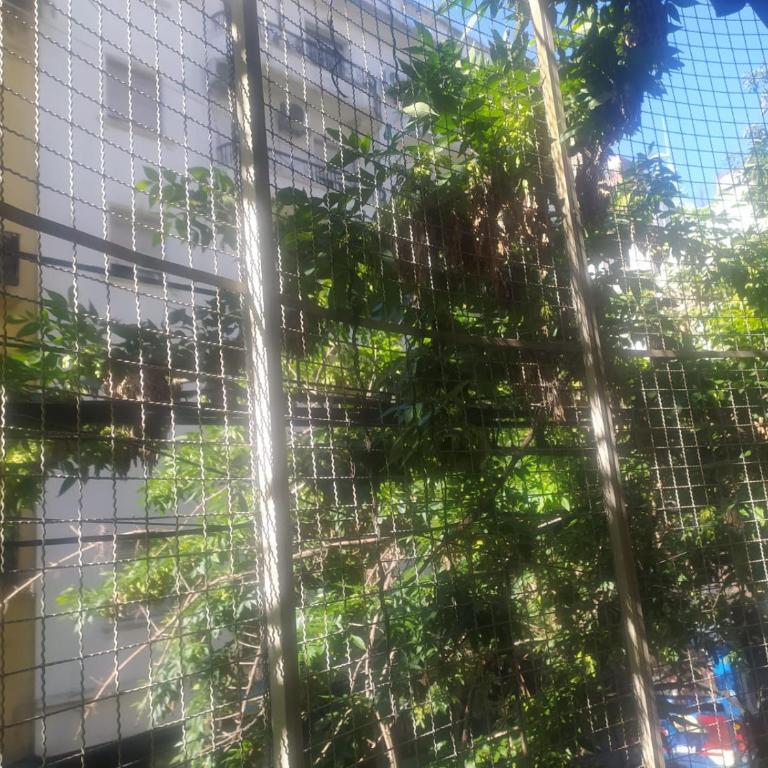 Departamento con balcon al frente 5 ambientes y jardin - Apartamento de 3 dormitorios - 3