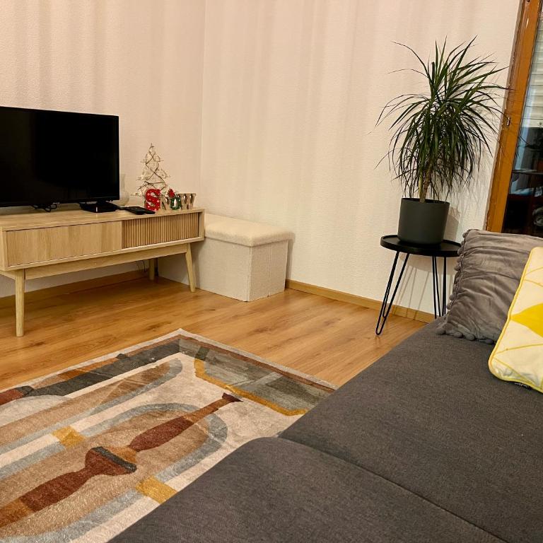 St Dominique - T2 Cosy avec parking - Apartment mit 1 Schlafzimmer - 16