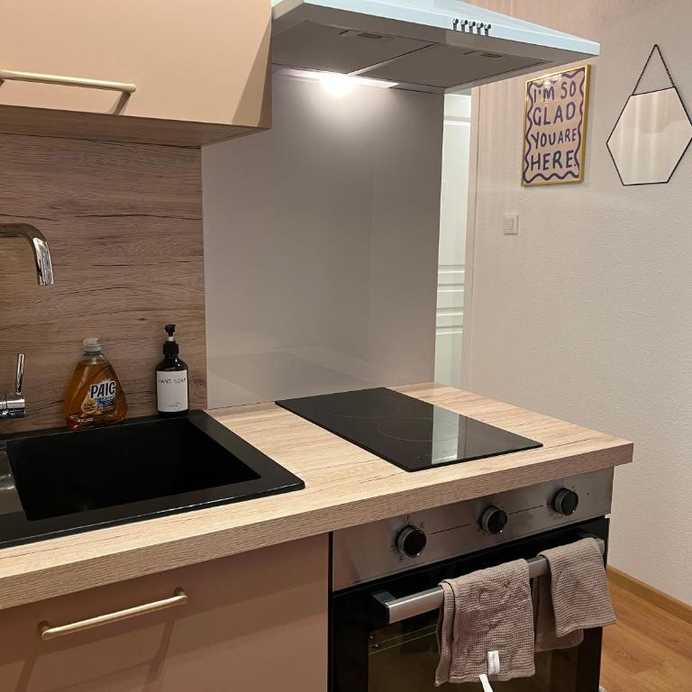 St Dominique - T2 Cosy avec parking - Apartment mit 1 Schlafzimmer - 6