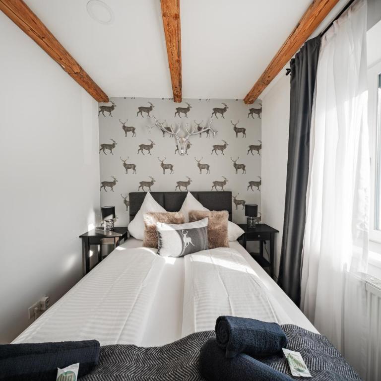 Innsbruck City Chalet - Superior Apartment - 13