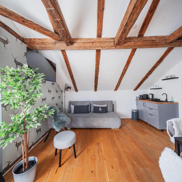 Innsbruck City Chalet - Deluxe Studio - 13