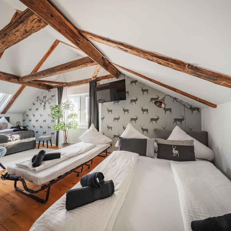 Innsbruck City Chalet - Deluxe Studio - 8