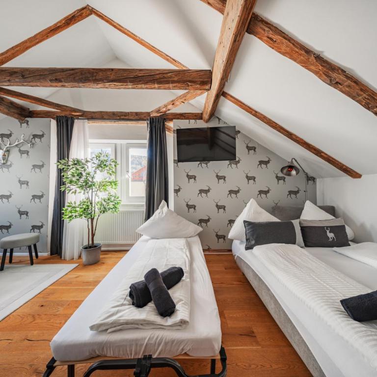 Innsbruck City Chalet - Deluxe Studio - 7
