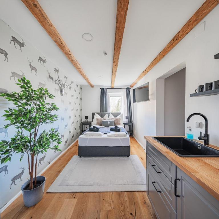 Innsbruck City Chalet - Superior Studio - 12